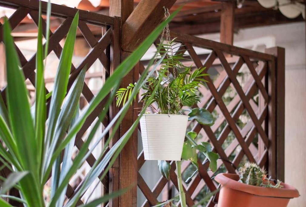 Esclusivo A Trastevere Con Terrazzo Apartment Rome