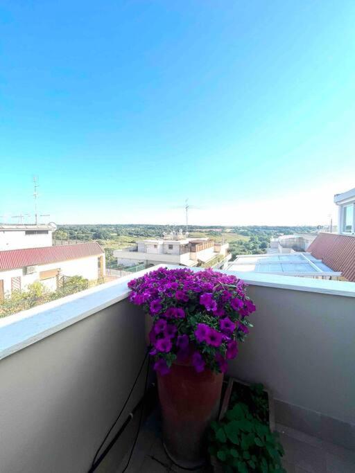 Super Attico Sul Parco Della Caffarella Appartement Rome