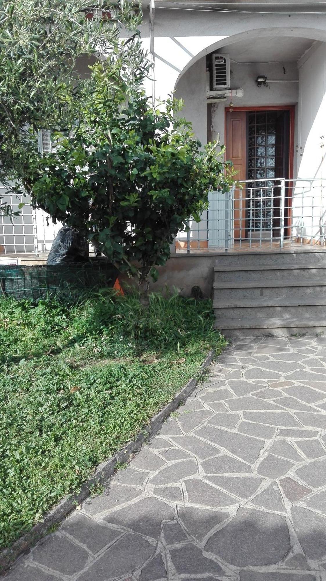 Homestay Elena House *