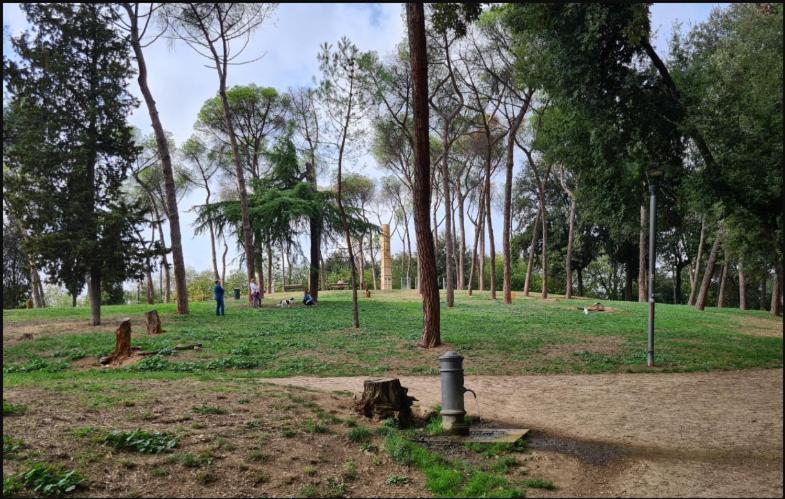 Incantevole Nel Parco Dell'aniene! Apartment