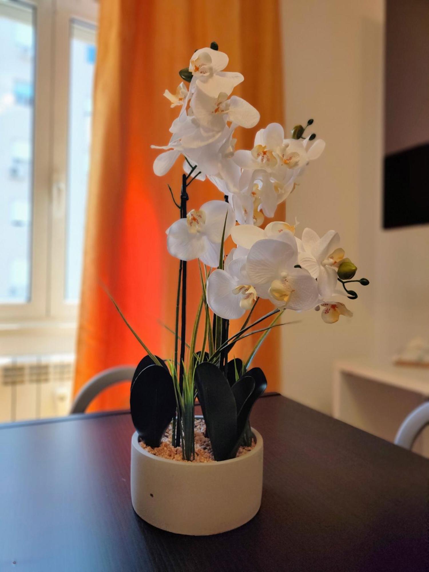 Casa Marconi Rome