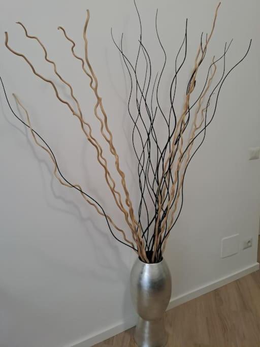 Appartement Domus 95 Rome
