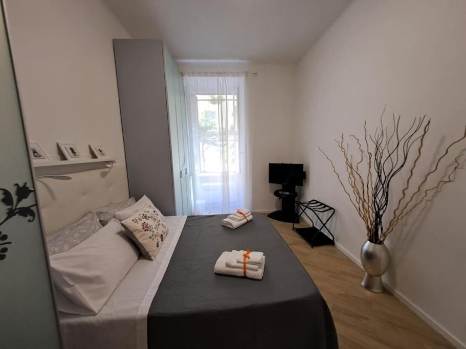 Appartement Domus 95 *