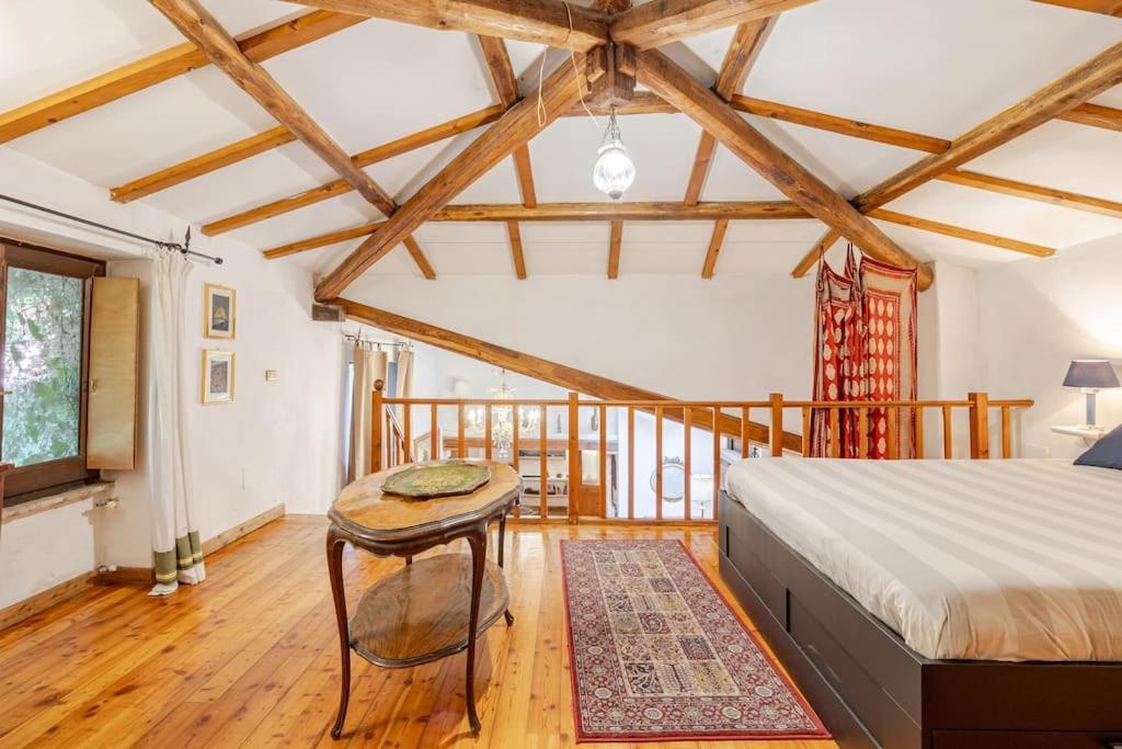 Rome's Hidden Gem Appartement
