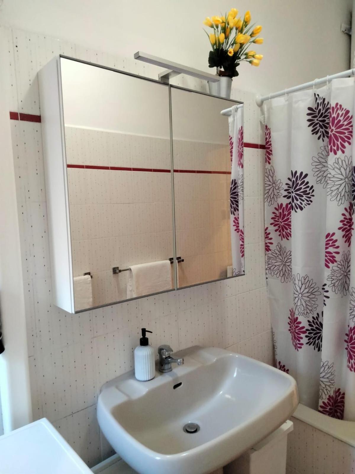 Apartment Romane