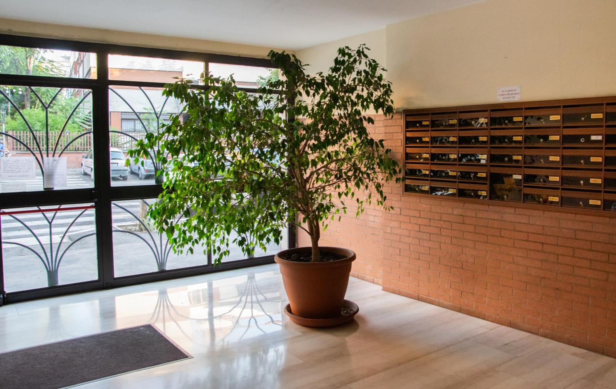 Guest house Mbs Marconi Bridge Rome