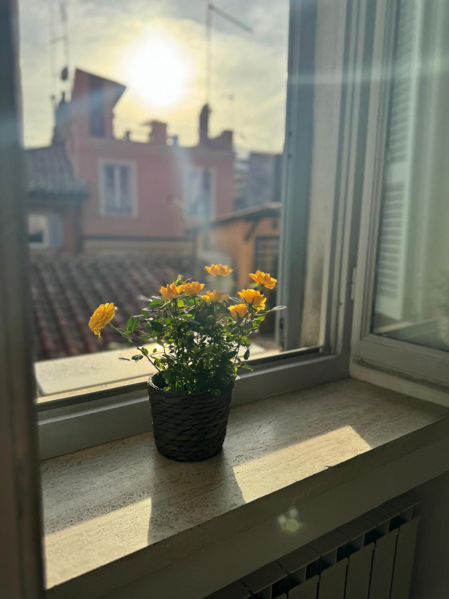Holiday home Labanca's Luxury Navona *