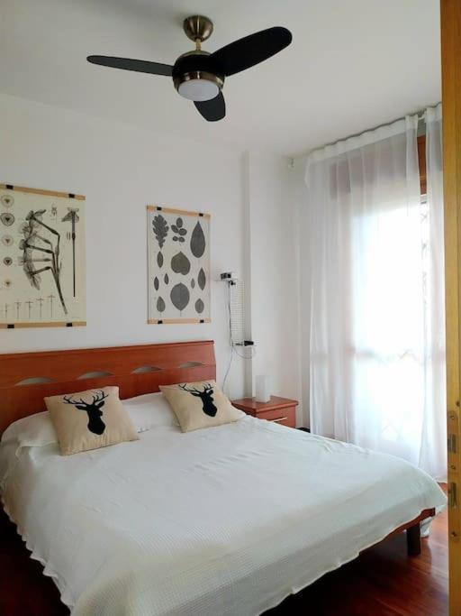 Centro Commerciale Apartment Rome