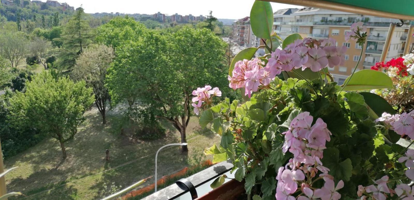 Apartment Conca D'oro 212