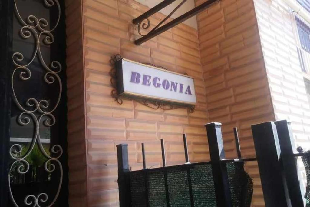 Appartement Aurelia - Begonia *