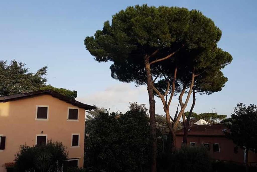 Aurelia - Begonia Appartement Rome