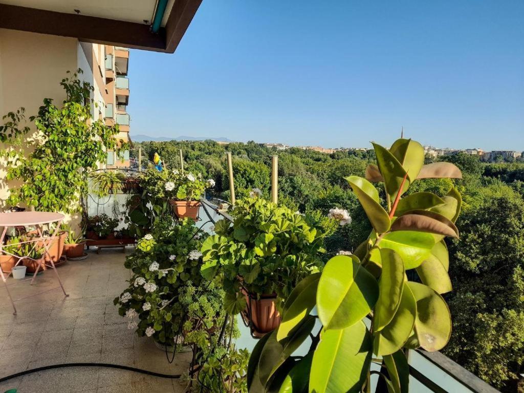 Conca D'oro 212 Apartment