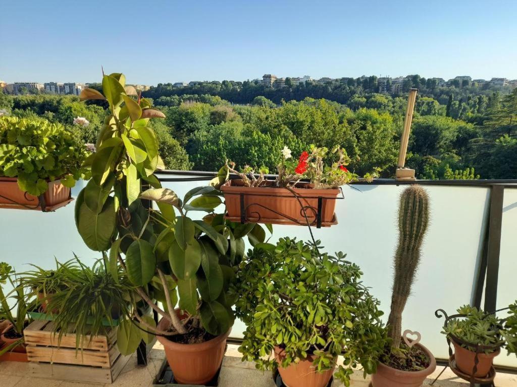 Conca D'oro 212 Apartment