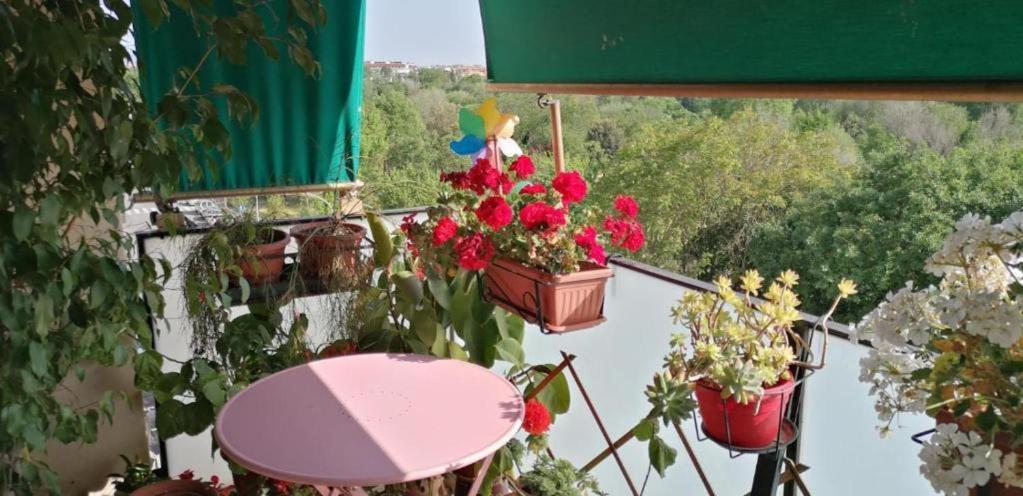 Apartment Conca D'oro 212 *
