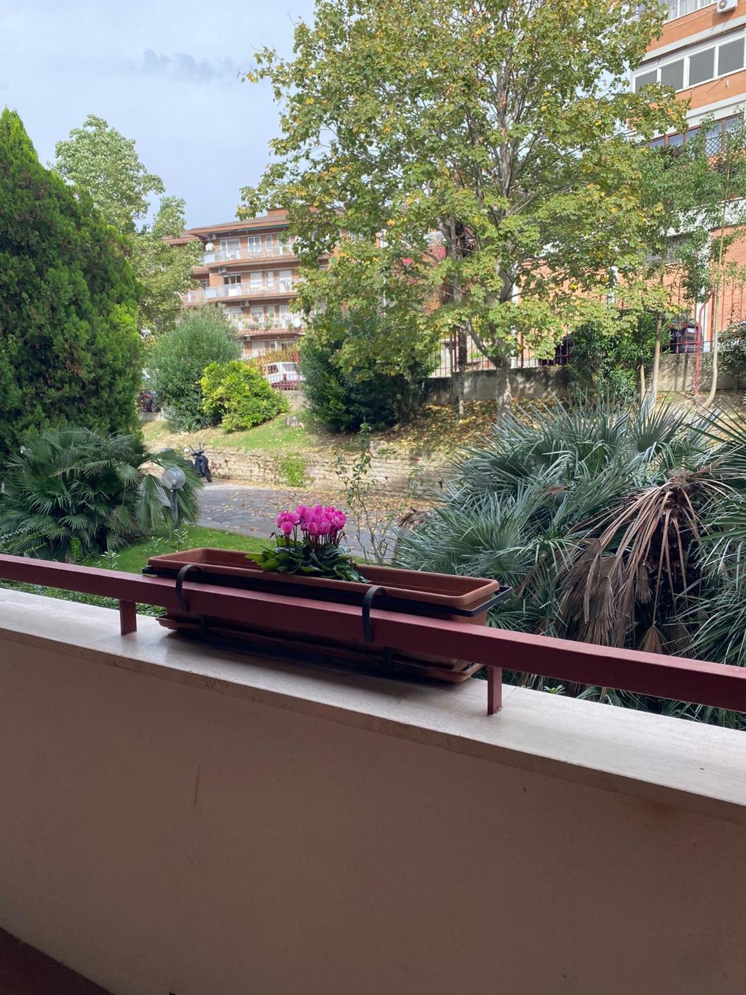 Paki House Luxury Rome