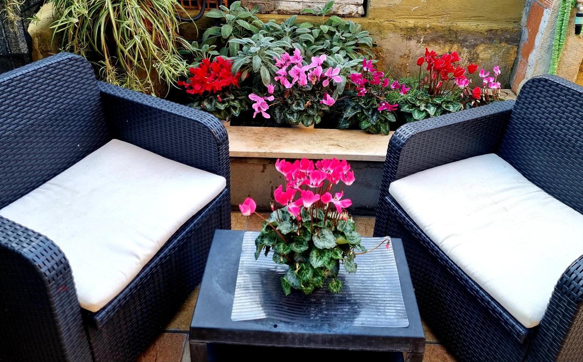 Cmhouselove Alessandrino Vicino Metro C Appartement Rome