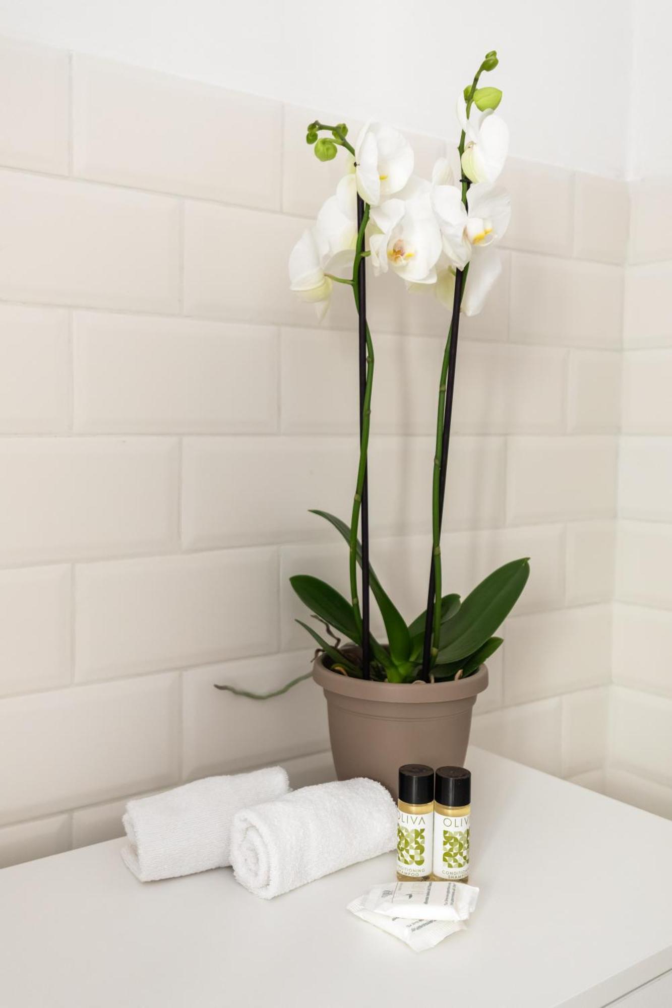 Apartamento San Lorenzo Moderna