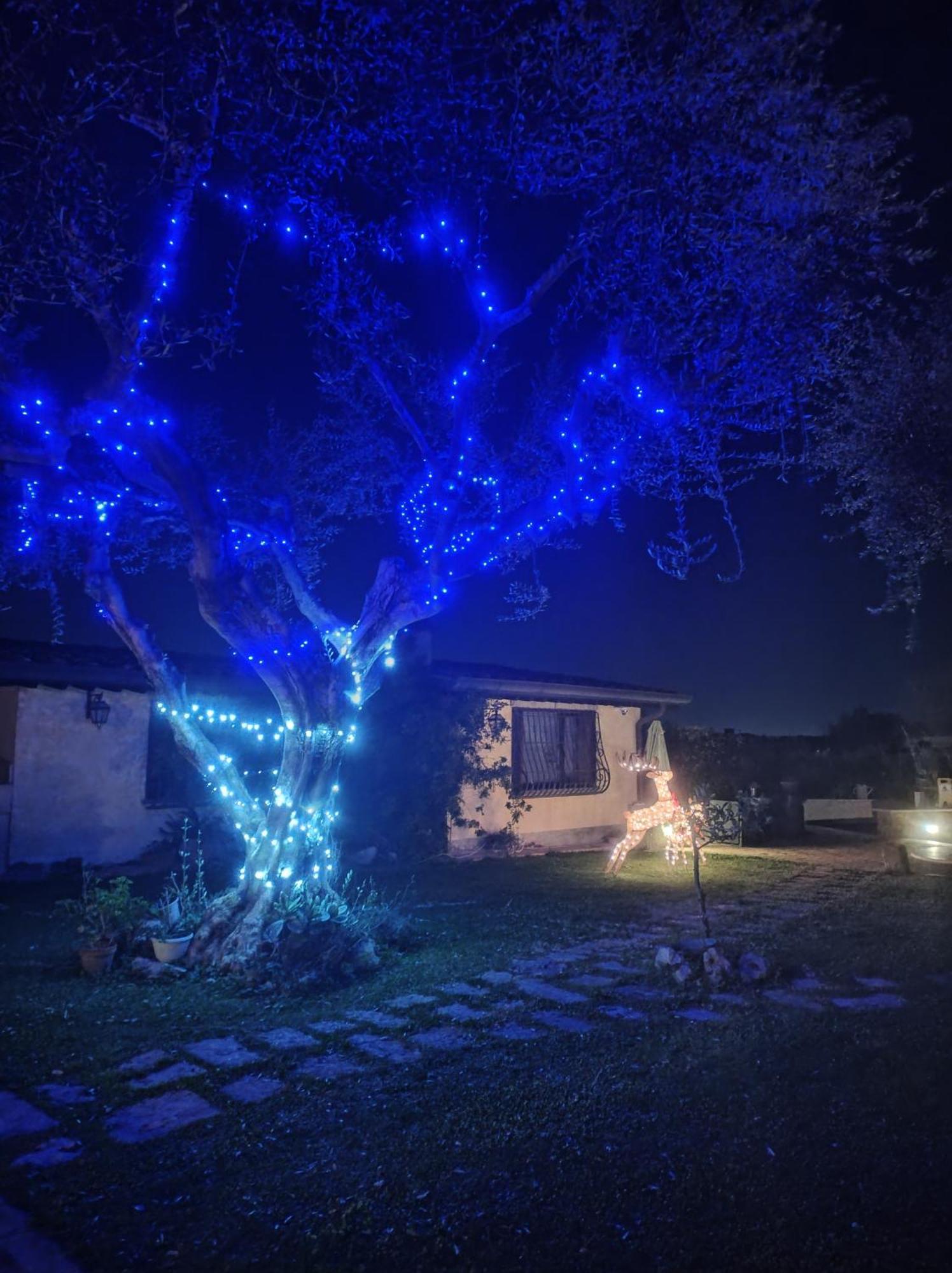 La Valle Dei Casali Com Bed & Breakfast 3*