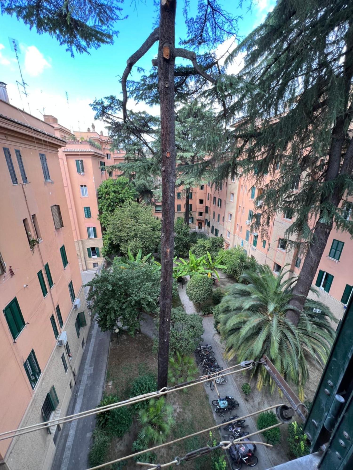 Enjoy Vatican In Rome