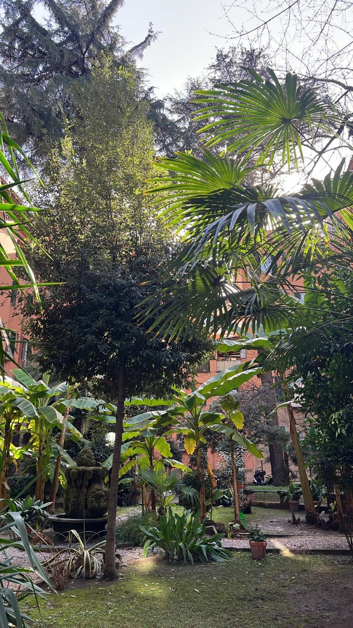 Enjoy Vatican In Appartement Rome