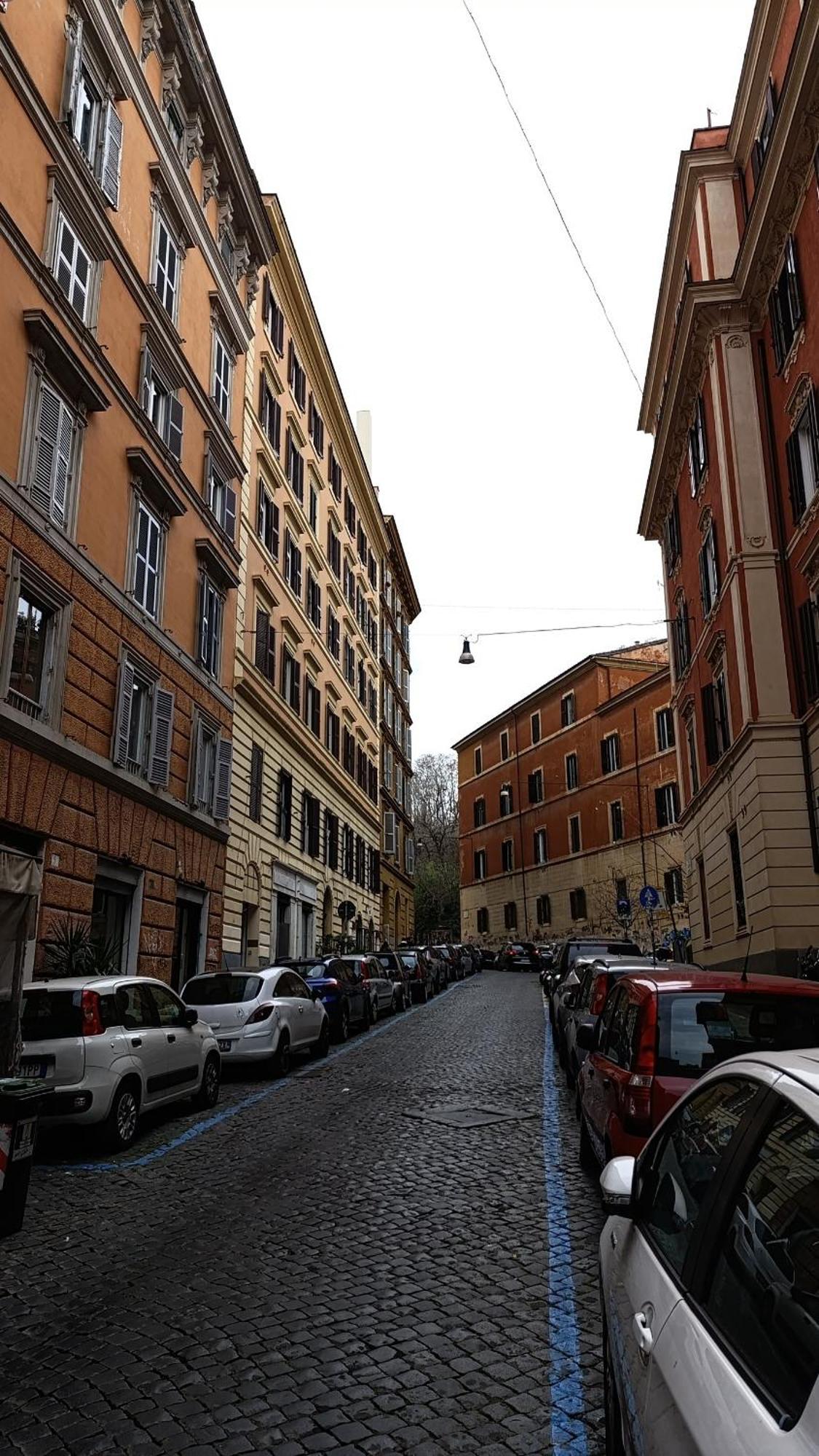 Trastevere Bertani Miniapartment *