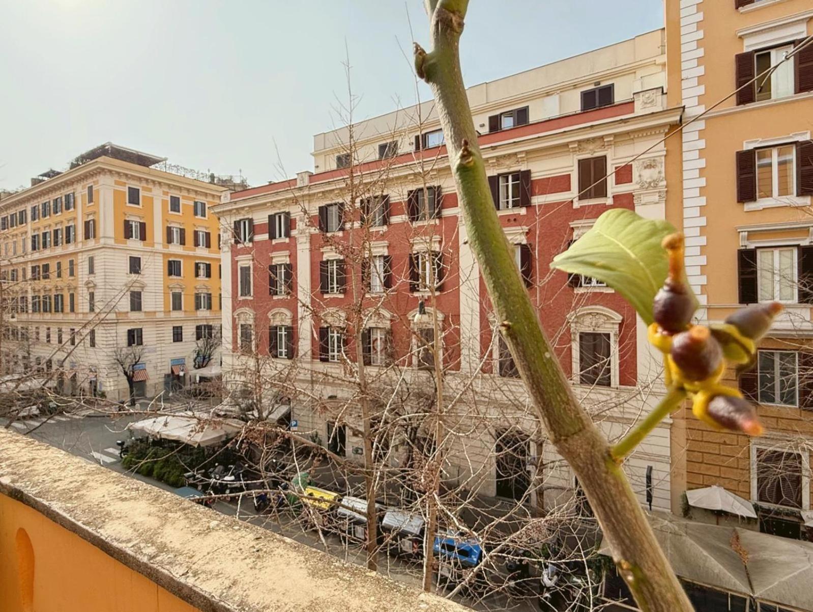 Maison d'hôtes Fabio Massimo Rome