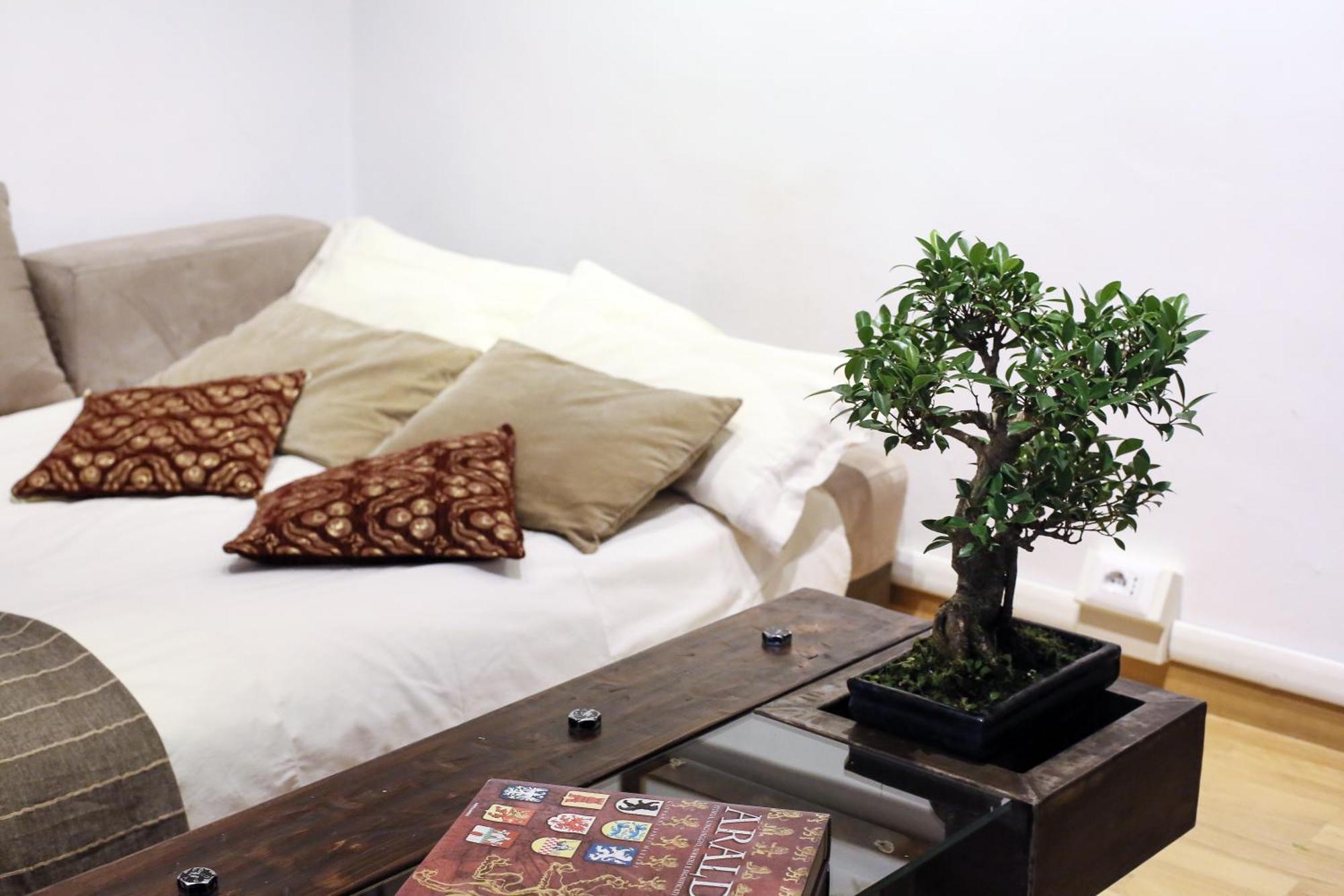 Domus Borgo Pio - San Pietro Appartement *