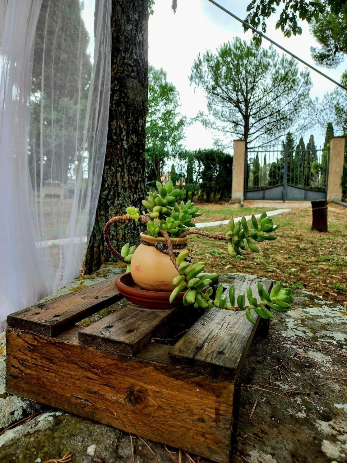 Holiday home Casa Shanti *