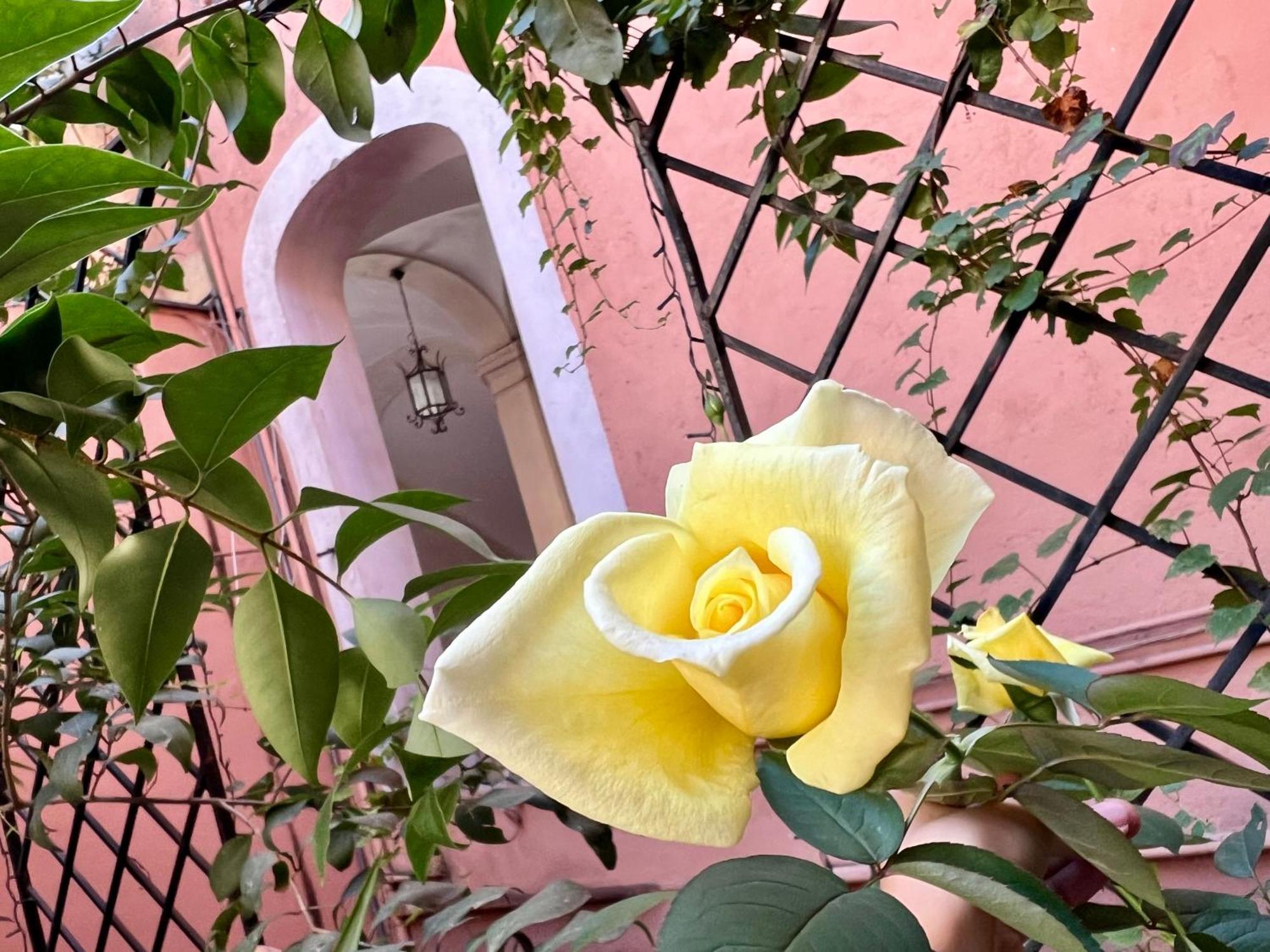 Apartment In Rome-trastevere - Amorhome Rome