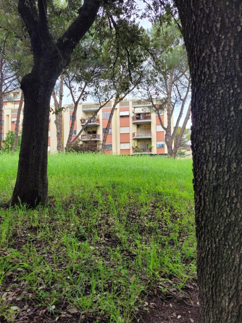 Panoramico Eur Appartement