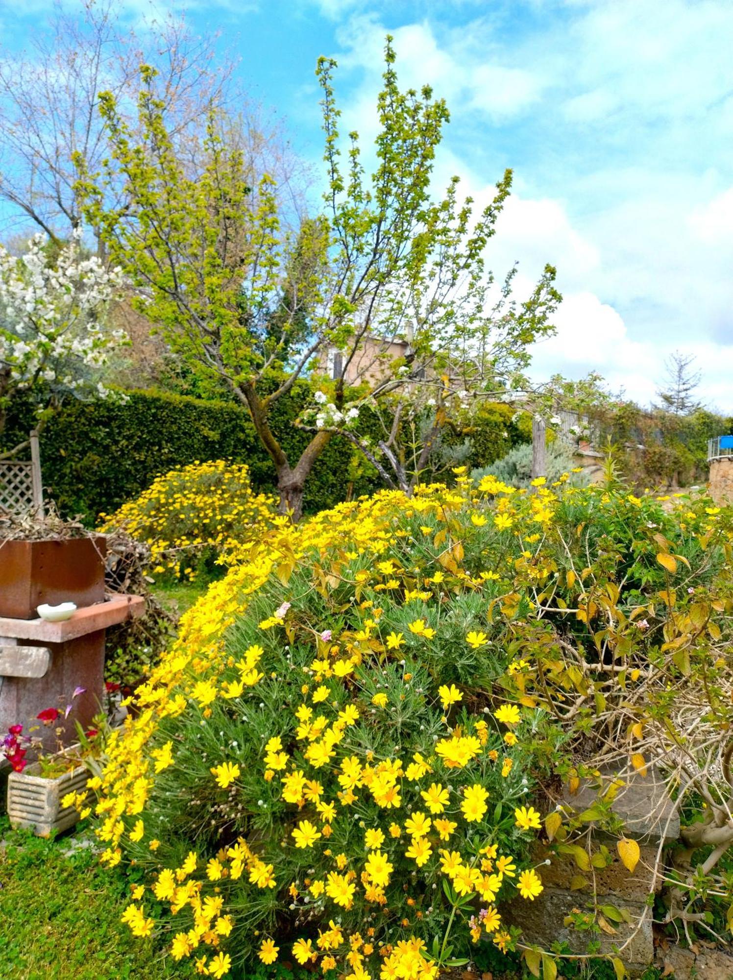 La Valle Dei Casali Com Bed & Breakfast Rome