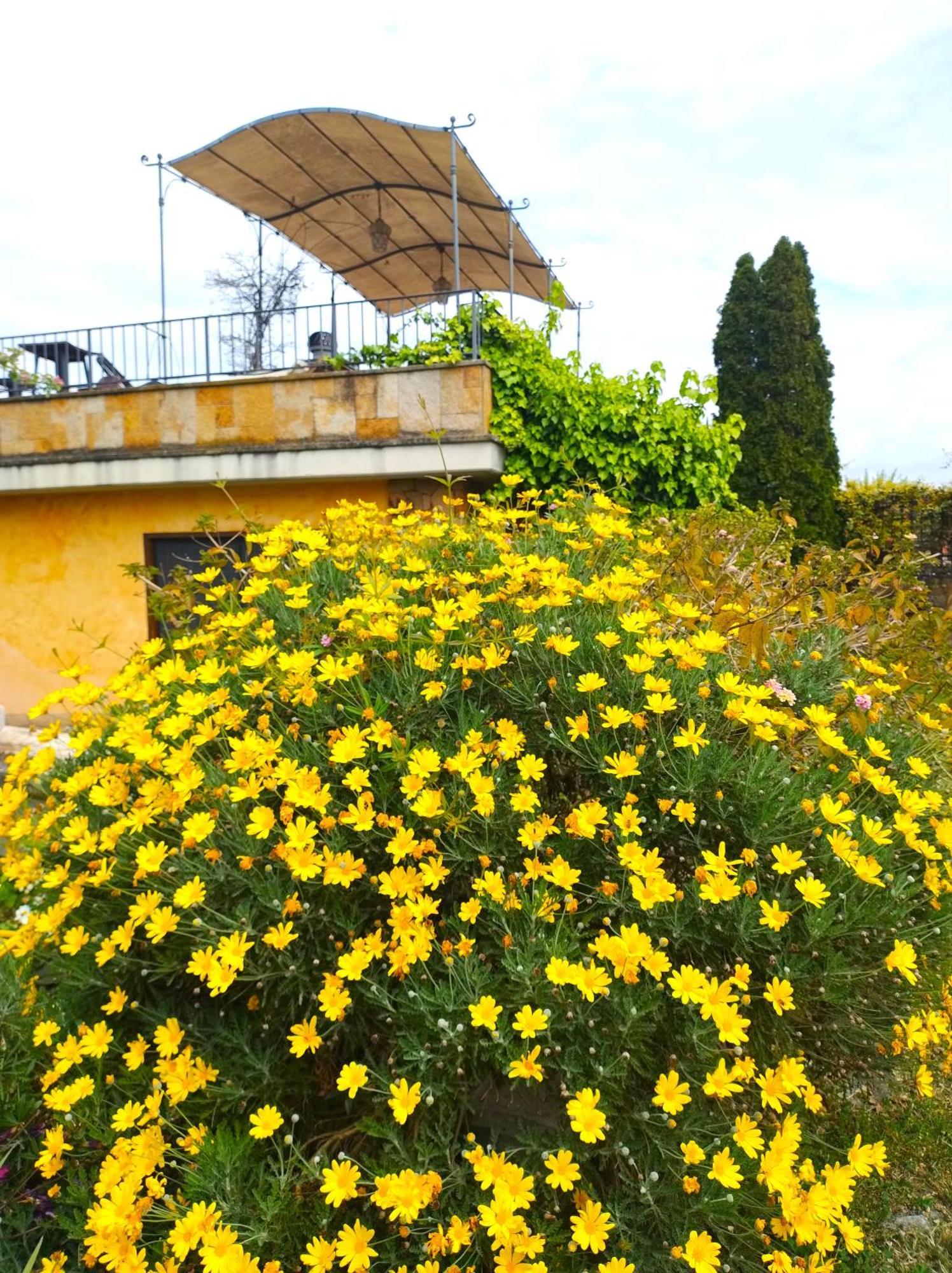 Bed & Breakfast La Valle Dei Casali Com