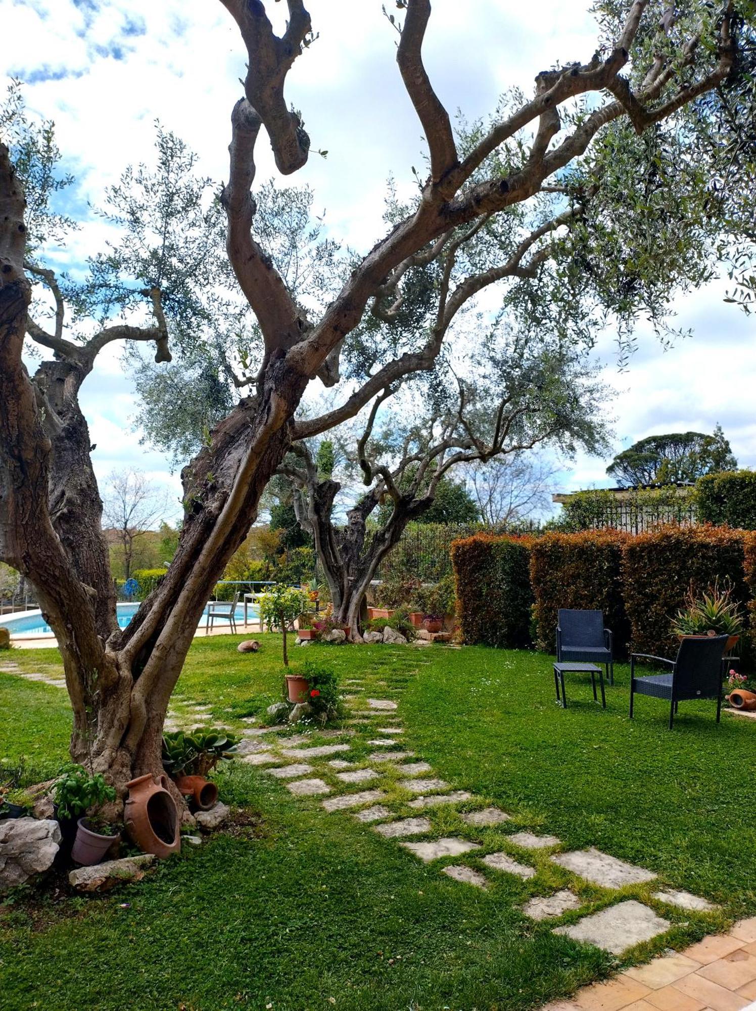 La Valle Dei Casali Com Bed & Breakfast Rome