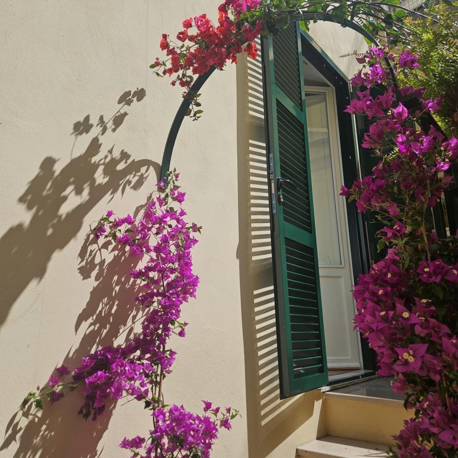 Borsieri Appartement *