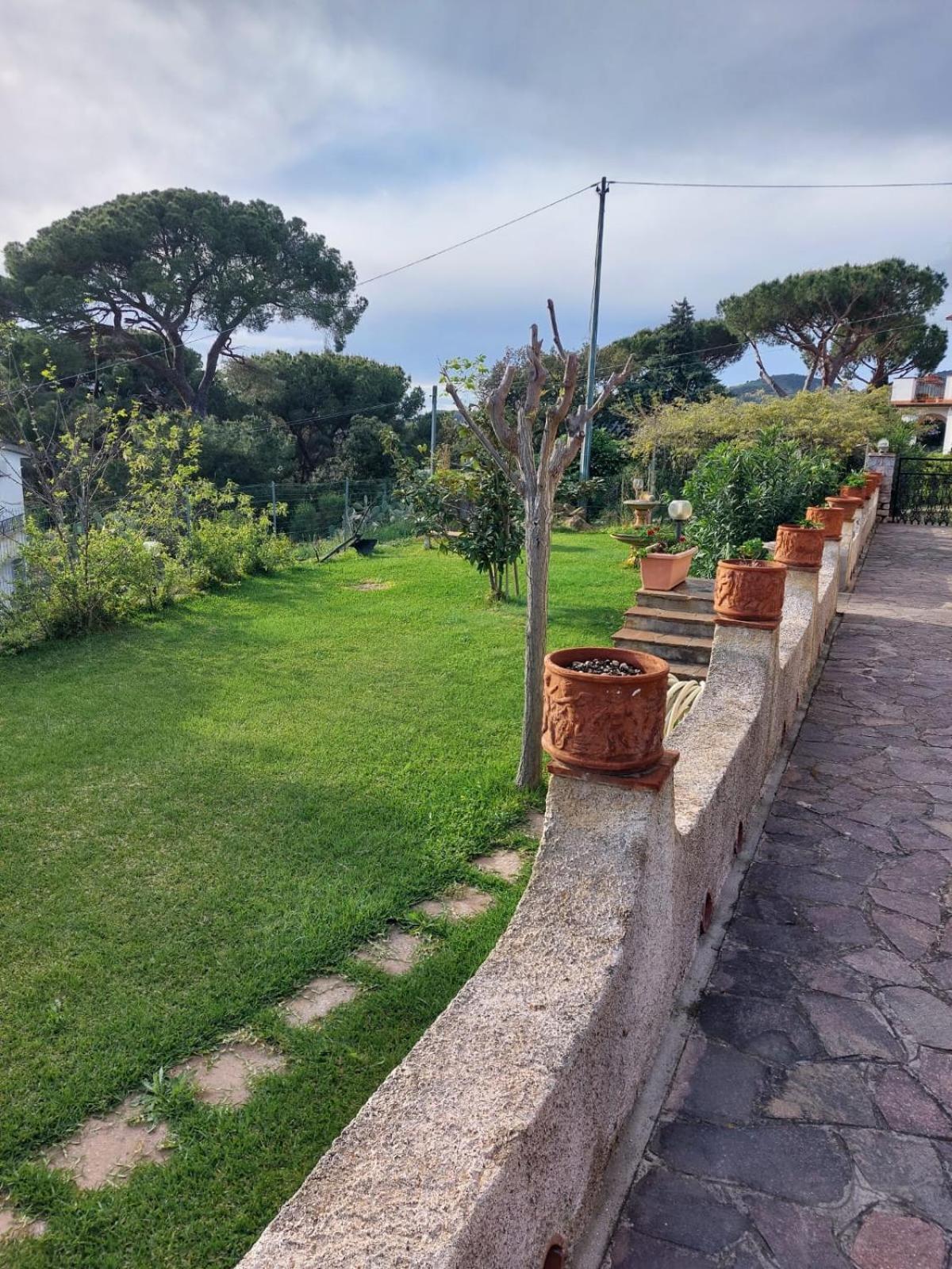 Il Glicine Apartment Capoliveri (Isola d'Elba)