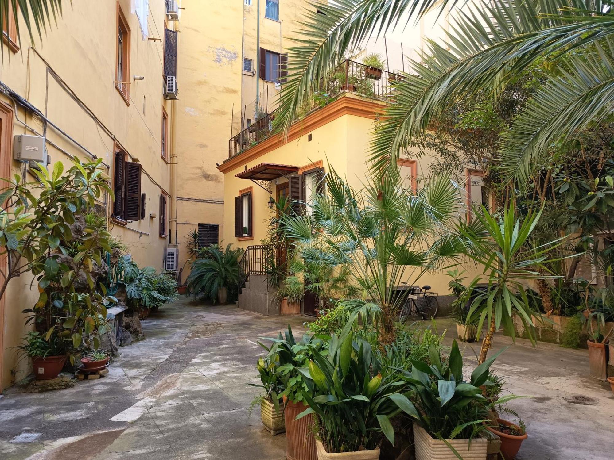 Apartment St Peter Charming House