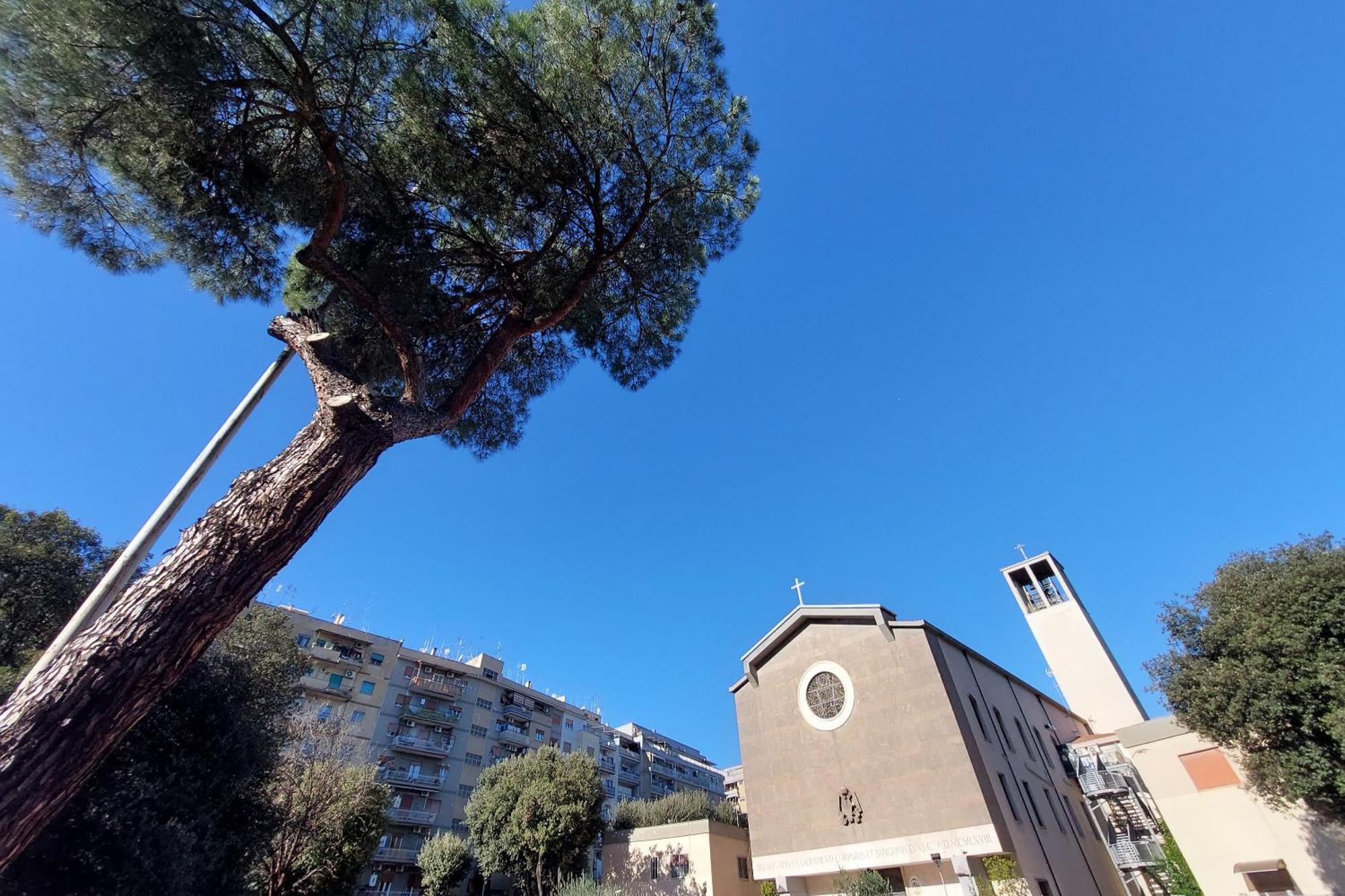 Nature Flat * Rome