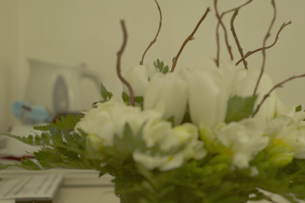Navona Guest house