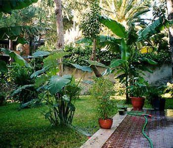 Il Giardino Di Giulia 2 3* Rome