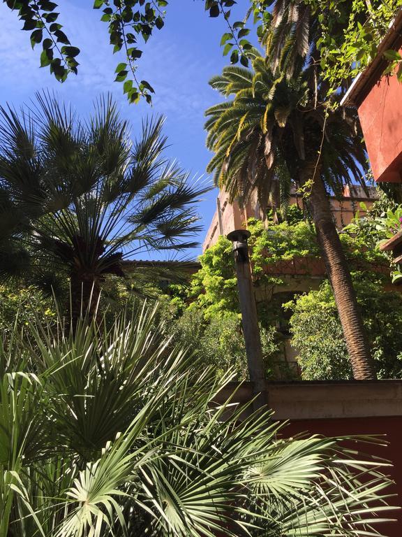 Margutta's Garden * Rome