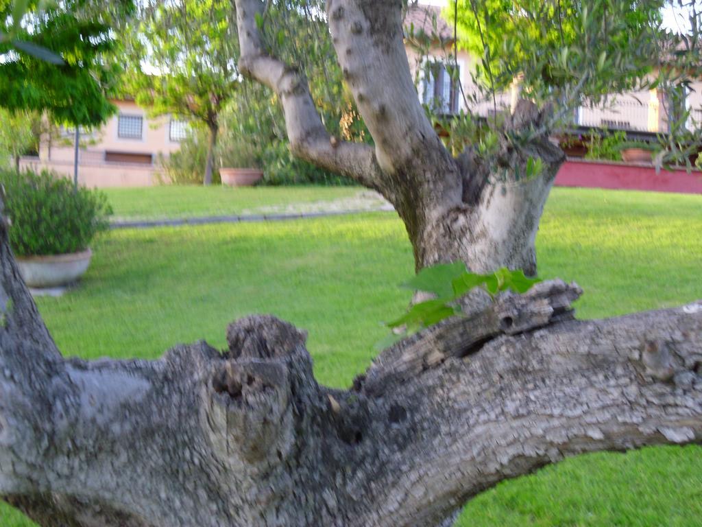 Luxardotel Rome