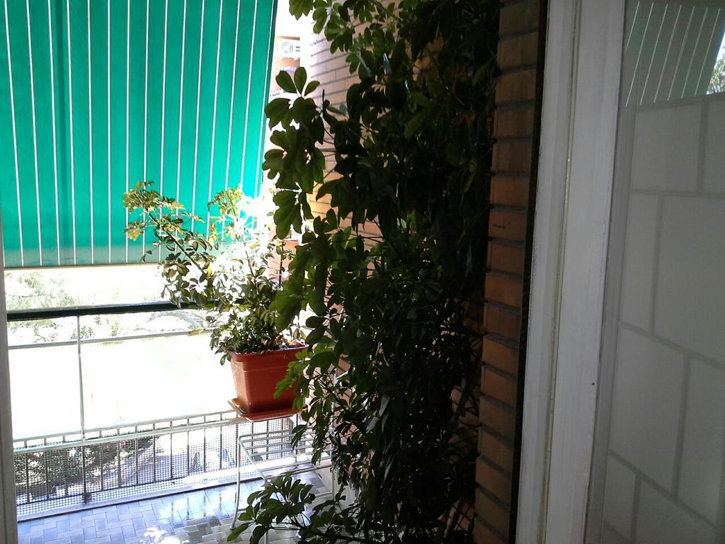 Guest house Olimpica Relais Guest House