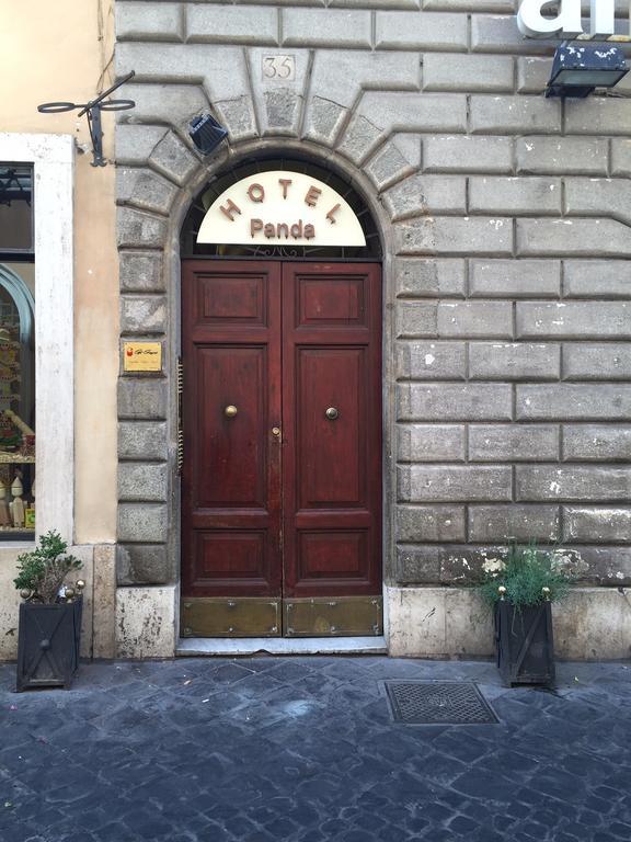 Panda Rome