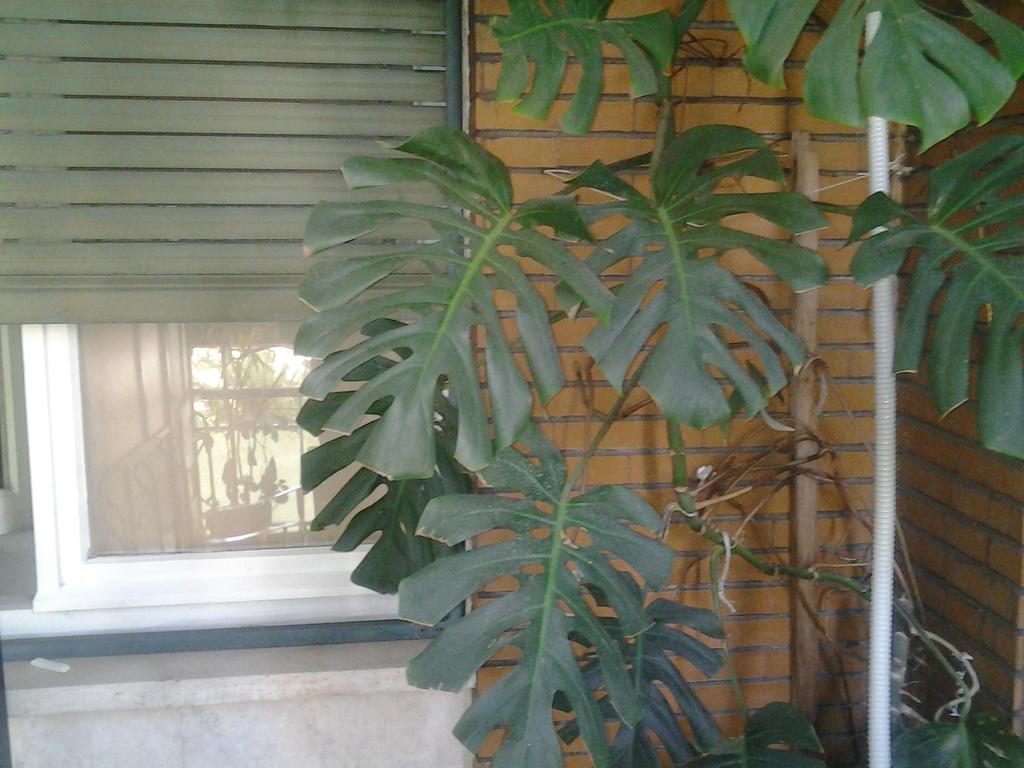 Olimpica Relais Guest House 2* Rome