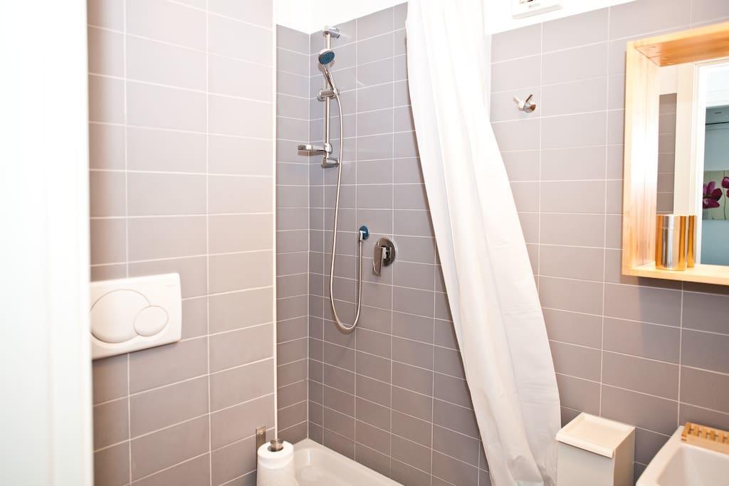 Viale Trastevere 108 Apartment