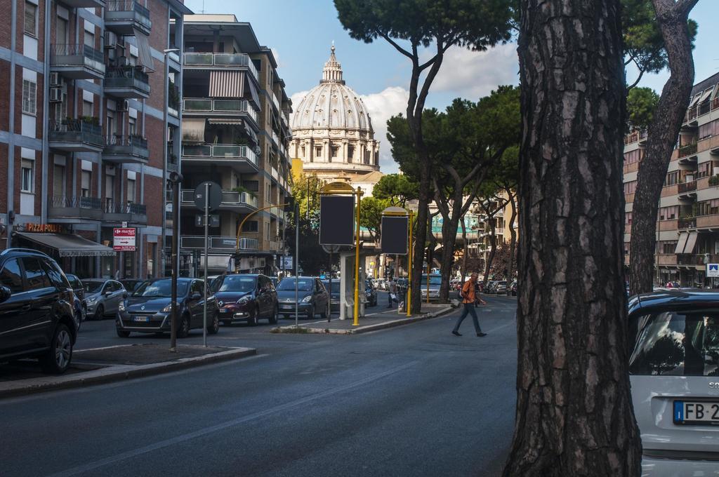 San Pietro Sweet Flat *