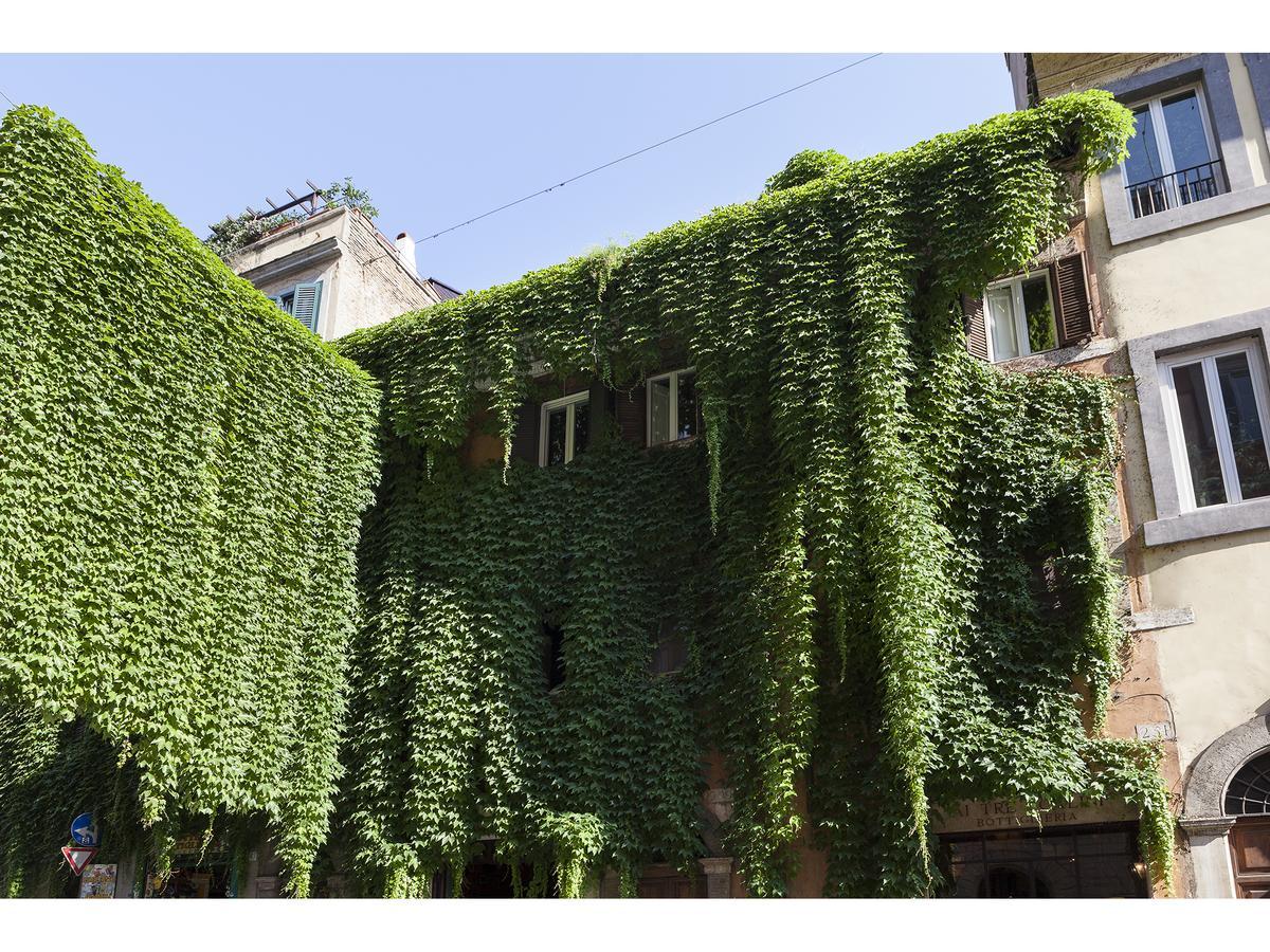 Ivy Apartment