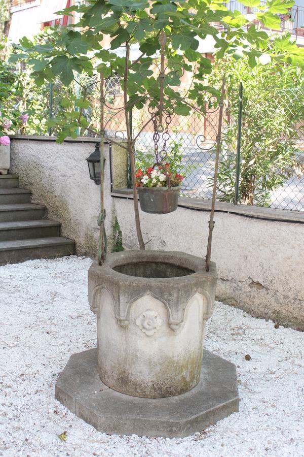 Ianus Guest house