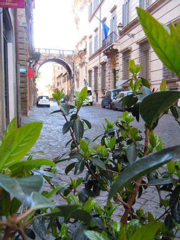 Apartment Via Giulia Rome