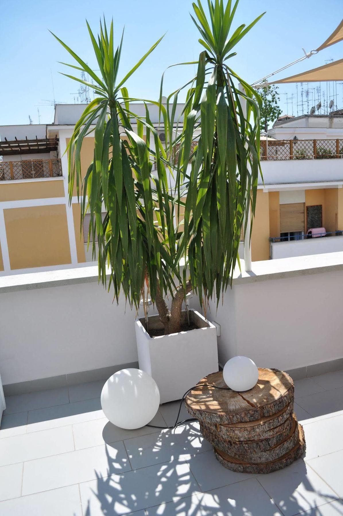 Guest house Glamroom Luxury Terrace